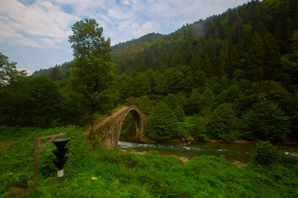 Senyuva Bridge Puente Arco Situado Distrito Amlhemin Rize Puente Tiene —  Fotos de Stock