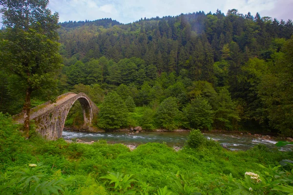 Pont Senyuva Est Pont Voûté Situé Dans District Amlhemin Rize — Photo