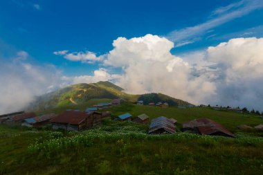 Pokut Platosu, Rize 'nin Amlhemin ilçesinde yer alan bir platodur..