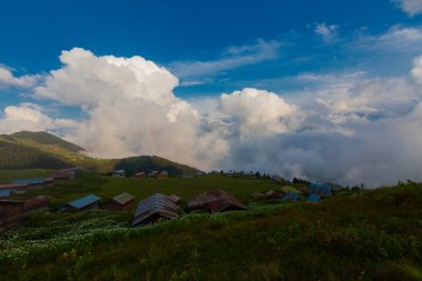 Pokut Platosu, Rize 'nin Amlhemin ilçesinde yer alan bir platodur..