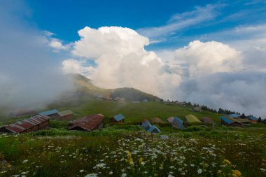 Pokut Platosu, Rize 'nin Amlhemin ilçesinde yer alan bir platodur..