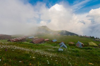 Pokut Platosu, Rize 'nin Amlhemin ilçesinde yer alan bir platodur..
