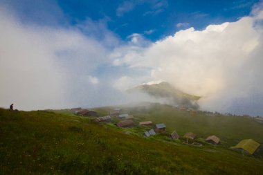Pokut Platosu, Rize 'nin Amlhemin ilçesinde yer alan bir platodur..