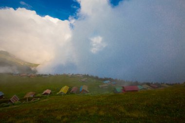 Pokut Platosu, Rize 'nin Amlhemin ilçesinde yer alan bir platodur..