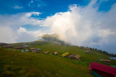Pokut Platosu, Rize 'nin Amlhemin ilçesinde yer alan bir platodur..