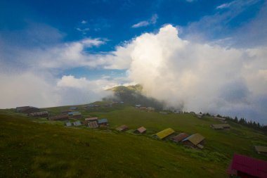 Pokut Platosu, Rize 'nin Amlhemin ilçesinde yer alan bir platodur..