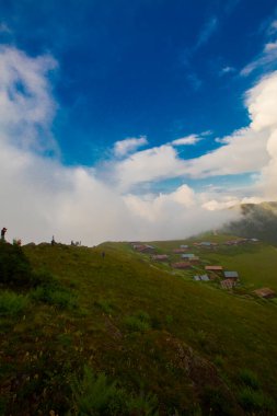 Pokut Platosu, Rize 'nin Amlhemin ilçesinde yer alan bir platodur..