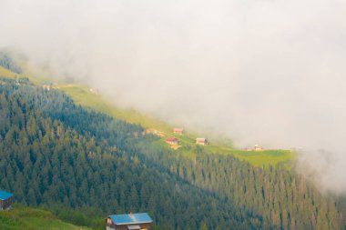Pokut Platosu, Rize 'nin Amlhemin ilçesinde yer alan bir platodur..