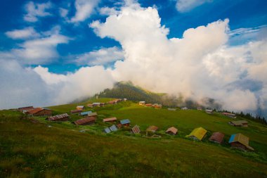 Pokut Platosu, Rize 'nin Amlhemin ilçesinde yer alan bir platodur..
