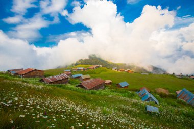 Pokut Platosu, Rize 'nin Amlhemin ilçesinde yer alan bir platodur..