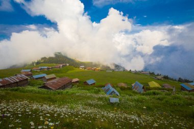 Pokut Platosu, Rize 'nin Amlhemin ilçesinde yer alan bir platodur..