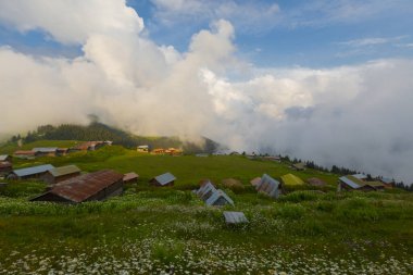 Pokut Platosu, Rize 'nin Amlhemin ilçesinde yer alan bir platodur..