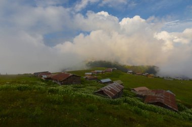 Pokut Platosu, Rize 'nin Amlhemin ilçesinde yer alan bir platodur..