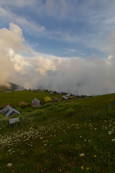 Pokut Plateau Platå Belägen Amlhemin Distriktet Rize Provinsen — Stockfoto