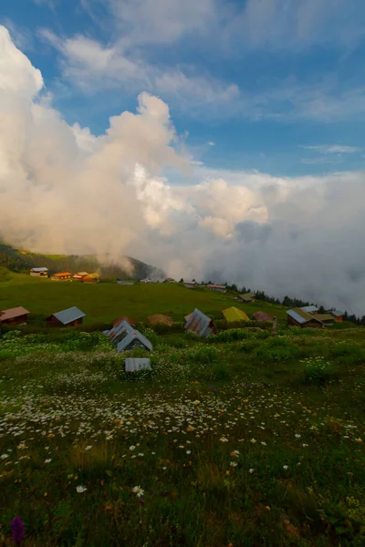 Pokut Plateau Plateau Located Amlhemin District Rize Province — Stock Photo, Image