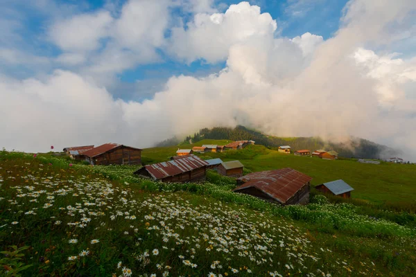 Meseta Pokut Una Meseta Situada Distrito Amlhemin Provincia Rize — Foto de Stock