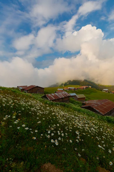 Pokut Plateau Plateau Located Amlhemin District Rize Province — Stock Photo, Image