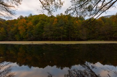 Yedigller Milli Parkı, Karadeniz Bölgesi 'ndeki Bolu iline bağlıdır..