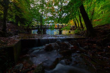 Yedigller Milli Parkı, Karadeniz Bölgesi 'ndeki Bolu iline bağlıdır..
