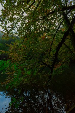 Yedigller Milli Parkı, Karadeniz Bölgesi 'ndeki Bolu iline bağlıdır..