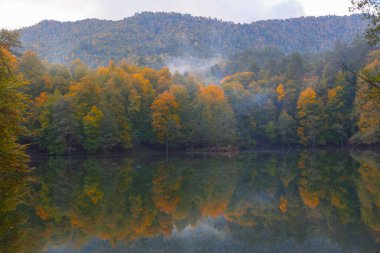 Yedigller Milli Parkı, Karadeniz Bölgesi 'ndeki Bolu iline bağlıdır..