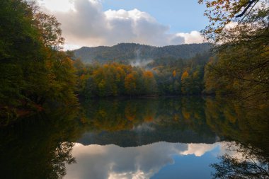 Yedigller Milli Parkı, Karadeniz Bölgesi 'ndeki Bolu iline bağlıdır..