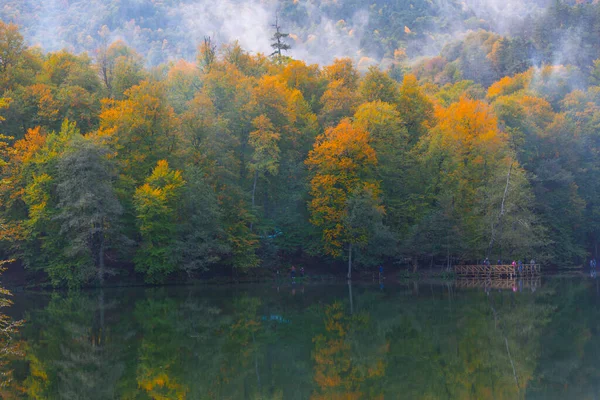 stock image Yedigller National Park is connected to the province of Bolu in the Black Sea Region.