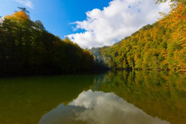 Yedigller Milli Parkı, Karadeniz Bölgesi 'ndeki Bolu iline bağlıdır..