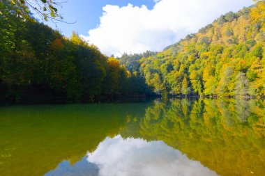 Yedigller Milli Parkı, Karadeniz Bölgesi 'ndeki Bolu iline bağlıdır..