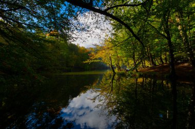 Yedigller Milli Parkı, Karadeniz Bölgesi 'ndeki Bolu iline bağlıdır..