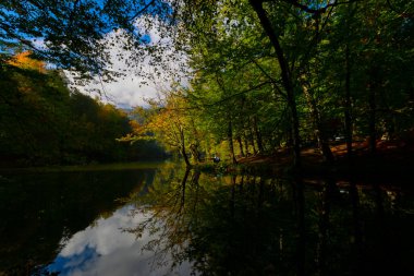 Yedigller Milli Parkı, Karadeniz Bölgesi 'ndeki Bolu iline bağlıdır..