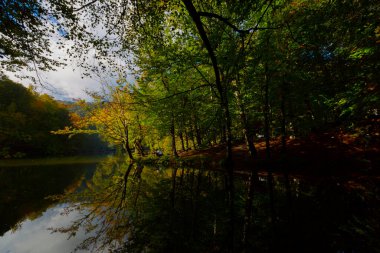 Yedigller Milli Parkı, Karadeniz Bölgesi 'ndeki Bolu iline bağlıdır..