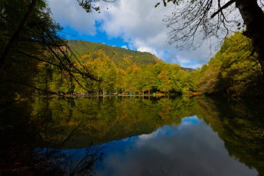 Yedigller Milli Parkı, Karadeniz Bölgesi 'ndeki Bolu iline bağlıdır..