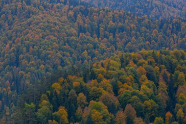 Yedigller Milli Parkı, Karadeniz Bölgesi 'ndeki Bolu iline bağlıdır..