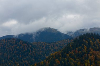 Yedigller Milli Parkı, Karadeniz Bölgesi 'ndeki Bolu iline bağlıdır..