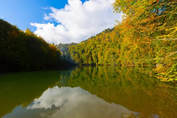 Yedigller Milli Parkı, Karadeniz Bölgesi 'ndeki Bolu iline bağlıdır..