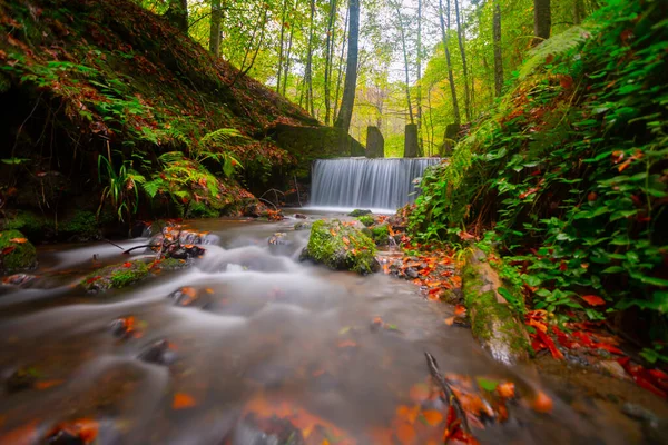 Parque Nacional Yedigller Está Conectado Con Provincia Bolu Región Del — Foto de Stock