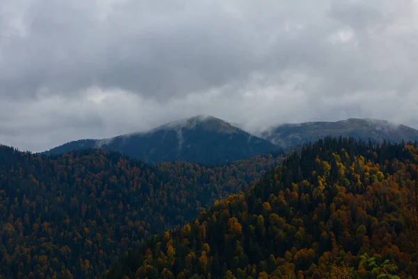 Parc National Yedigller Est Relié Province Bolu Dans Région Mer — Photo