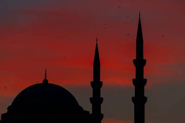 Istanbuls Vackraste Landskap Turkiet — Stockfoto