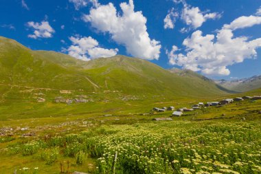 Avusor veya Avusr, Rize 'nin Amlhemin ilçesine bağlı bir platodur. 2700 metre yükseklikte ve 300 civarında ev var..
