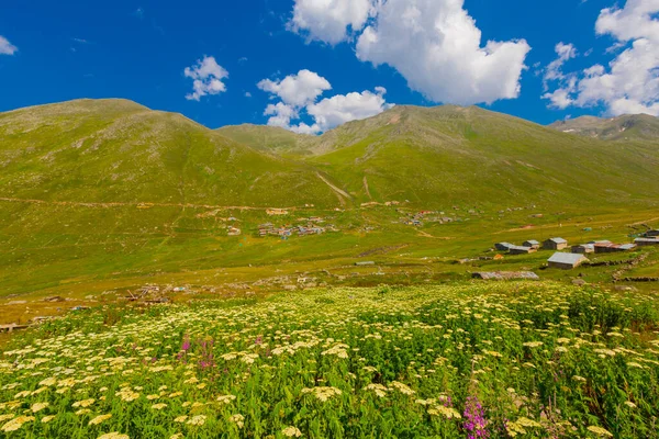 Avusor Avusr Plateau Connected Amlhemin District Rize Province Altitude 2700 — Stock Photo, Image