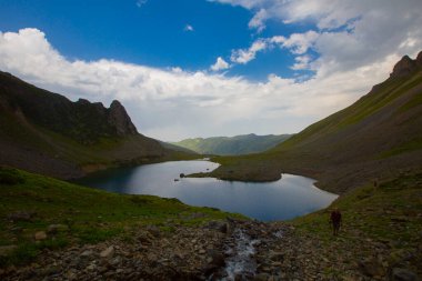 Avusor veya Avusr, Rize 'nin Amlhemin ilçesine bağlı bir platodur. 2700 metre yükseklikte ve 300 civarında ev var..