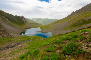 Avusor veya Avusr, Rize 'nin Amlhemin ilçesine bağlı bir platodur. 2700 metre yükseklikte ve 300 civarında ev var..