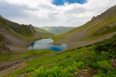 Avusor veya Avusr, Rize 'nin Amlhemin ilçesine bağlı bir platodur. 2700 metre yükseklikte ve 300 civarında ev var..