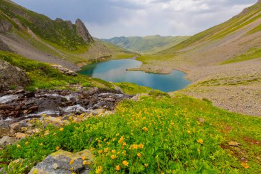 Avusor veya Avusr, Rize 'nin Amlhemin ilçesine bağlı bir platodur. 2700 metre yükseklikte ve 300 civarında ev var..
