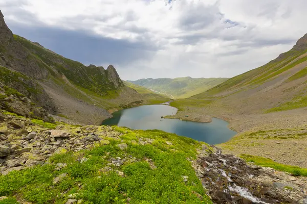 Avusor Veya Avusr Rize Nin Amlhemin Ilçesine Bağlı Bir Platodur — Stok fotoğraf