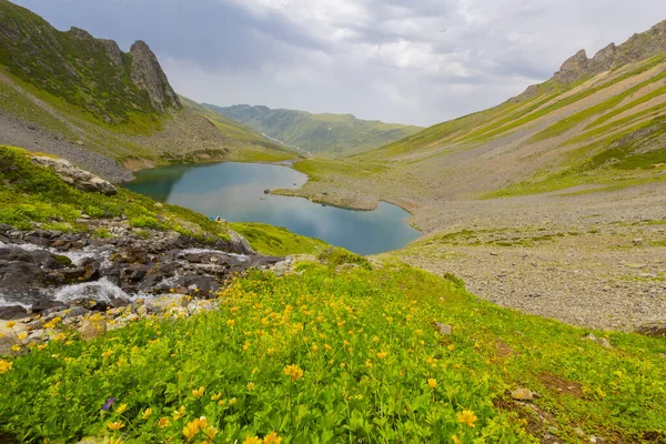 Avusor veya Avusr, Rize 'nin Amlhemin ilçesine bağlı bir platodur. 2700 metre yükseklikte ve 300 civarında ev var..