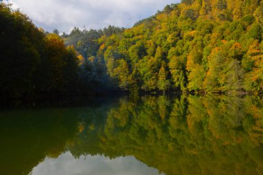 Yenice Ormanları, Yenice ilçesinin Karabk ilinin sınırları içinde yer alan bir ormandır. İlçeden de ismini alır..