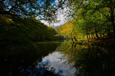 Yenice Ormanları, Yenice ilçesinin Karabk ilinin sınırları içinde yer alan bir ormandır. İlçeden de ismini alır..
