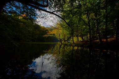 Yenice Ormanları, Yenice ilçesinin Karabk ilinin sınırları içinde yer alan bir ormandır. İlçeden de ismini alır..
